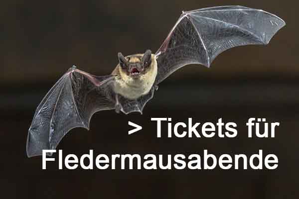 Tickets für Fledermusabende